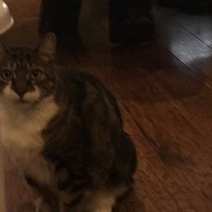 Meet your Posher, Brian